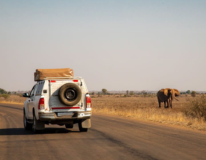 Masai Mara