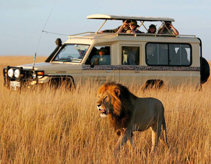 Amboseli National Park
