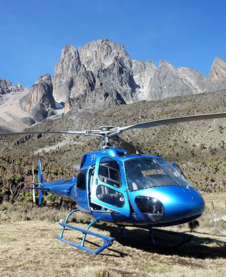 Flying Safari